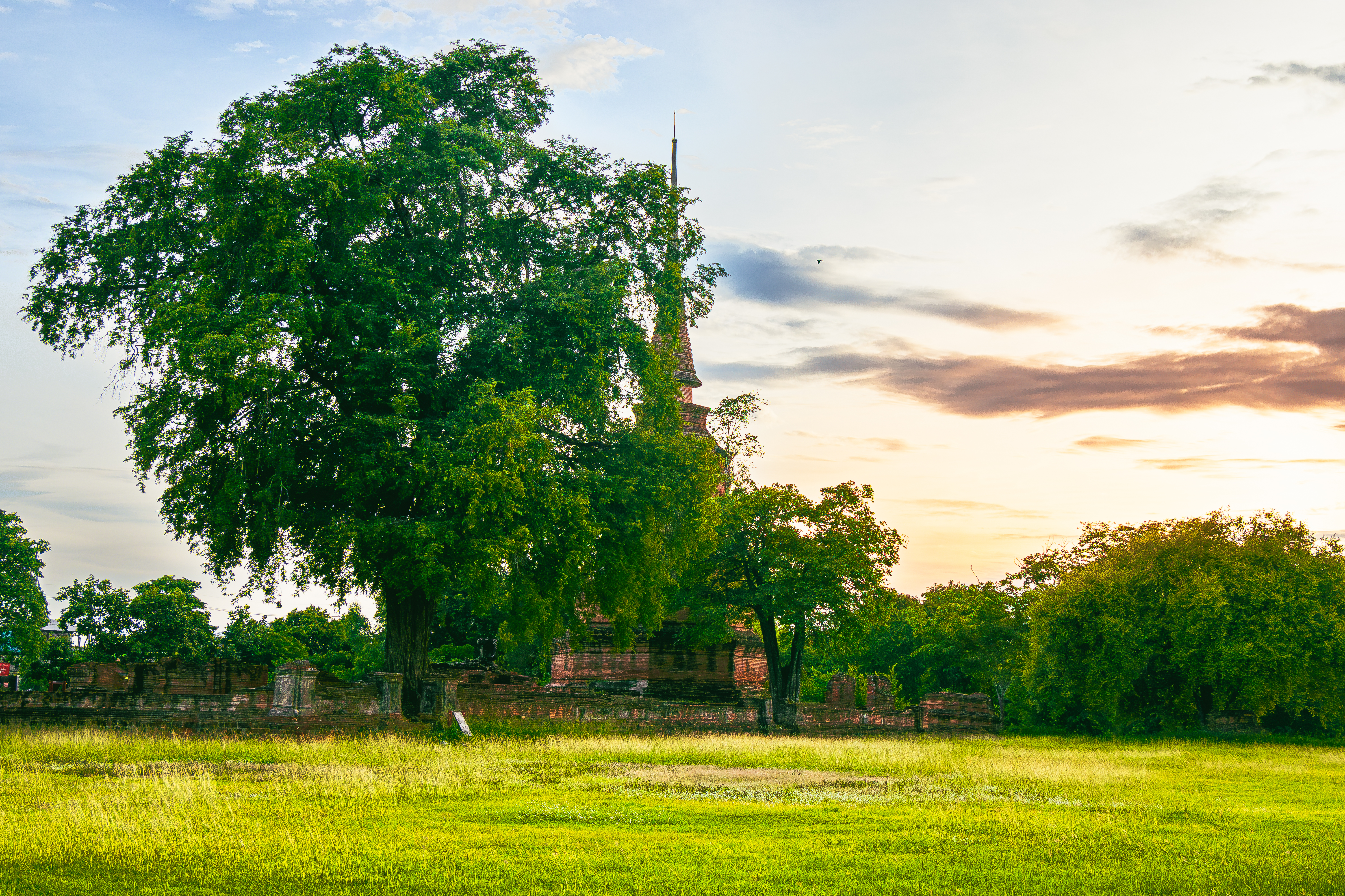 Photo de randonnée dans les Pyrénées, sur le chemin en direction du col des Sarradets. Vue sur le Pic de la Pahule et le Mont Mourgat.